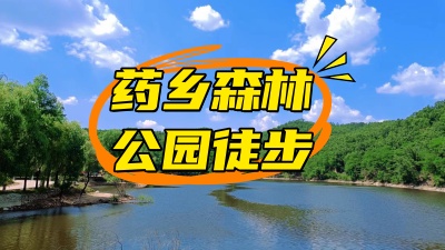 森呼吸，越无界——药乡森林公园徒步团建