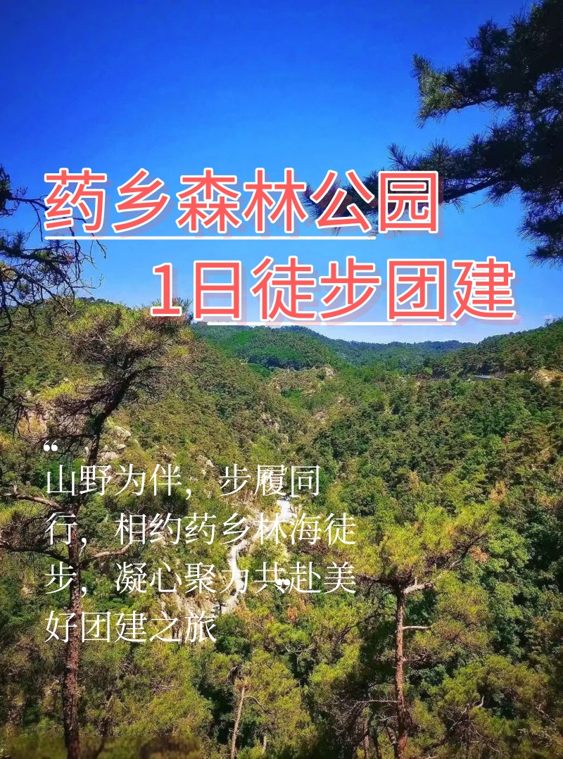 【药乡揽清风，团建聚同心】药乡森林公园1日徒步团建